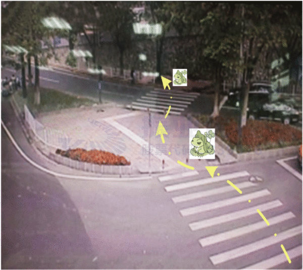 圖8 優(yōu)化后東進(jìn)口行人過街示意圖