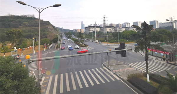 圖6 優(yōu)化后 金開大道箭竹路